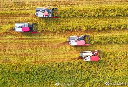 看,豐收的中國 看,豐收的中國