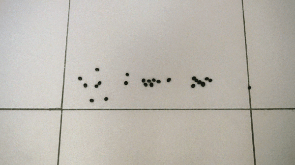 自動集塵掃地機哪家強,技術分析+實測對比告訴你答案 自動集塵掃地機哪家強,技術分析+實測對比告訴你答案