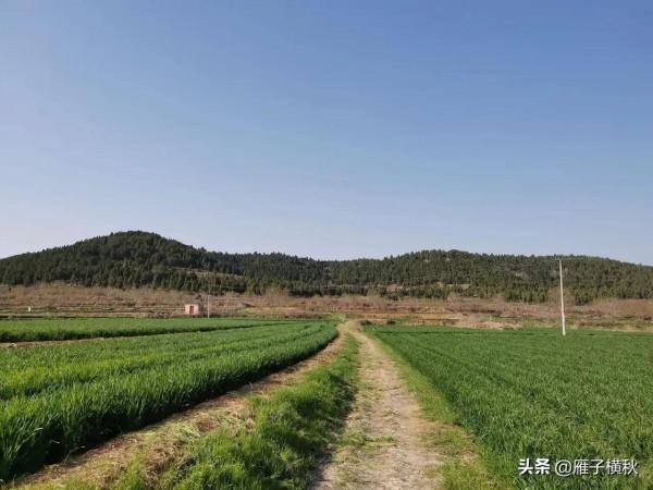 記憶中的中秋 記憶中的中秋