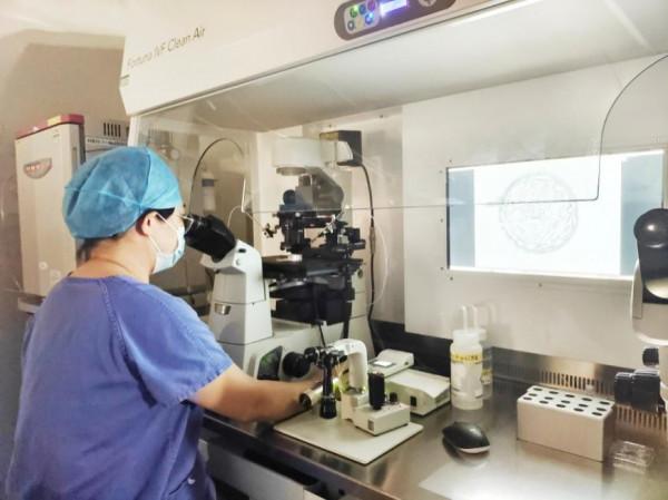 今天是“世界胚胎學家日”，圖文揭秘試管嬰兒的全過程