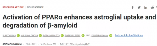 降脂藥和維生素也能治療阿爾茨海默病?科學家們又有新發現 降脂藥和維生素也能治療阿爾茨海默病?科學家們又有新發現