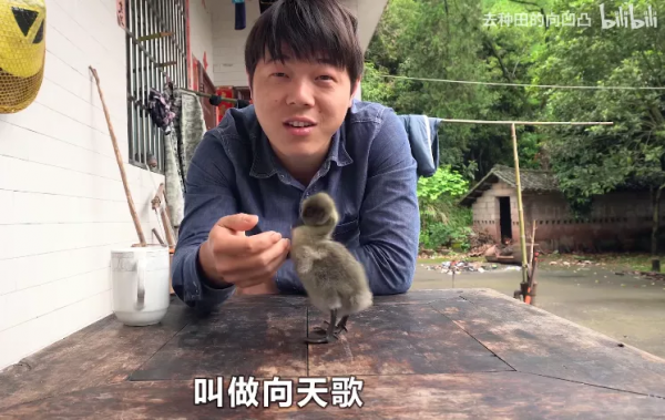 又髒又野,但真招人喜歡 又髒又野,但真招人喜歡