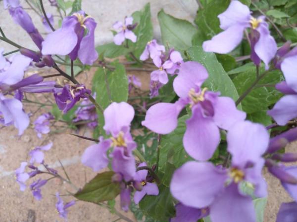 老年人要注意以下三事,對身體健康有好處 老年人要注意以下三事,對身體健康有好處