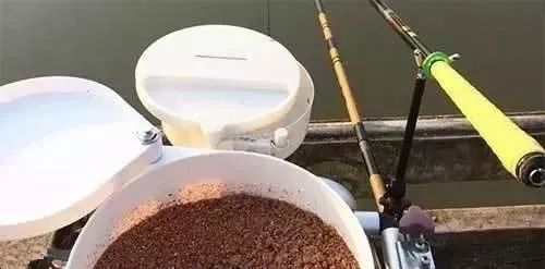 怎麼配餌?遵循這8個依據就對了 怎麼配餌?遵循這8個依據就對了
