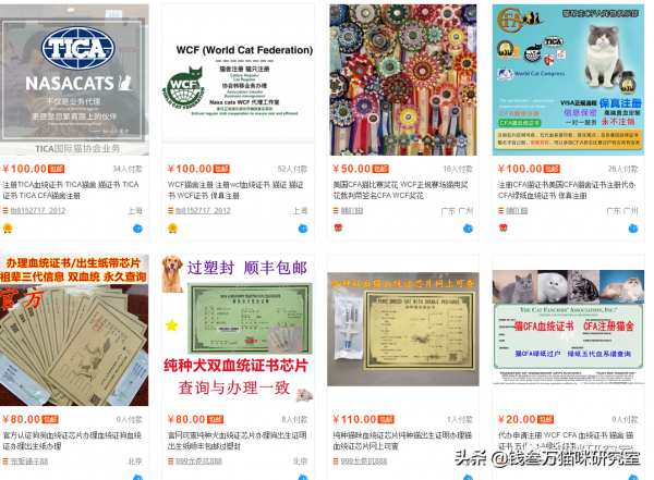 買貓防坑指南2:血統證書約等於沒用,同等品相就選便宜的無證貓 買貓防坑指南2:血統證書約等於沒用,同等品相就選便宜的無證貓