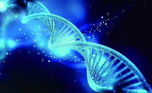 停止心跳後大腦意識能維持多久