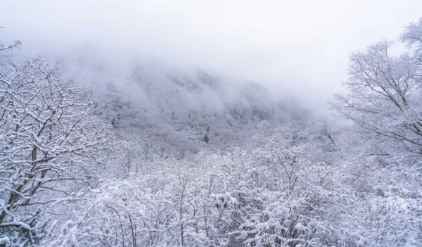 太美了!中國10大冬景旅行地,每個都各有特色,你去過幾個? 太美了!中國10大冬景旅行地,每個都各有特色,你去過幾個?