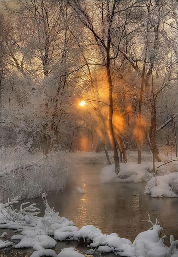 分享白雪皚皚的雪景，銀裝素裹，美景如畫