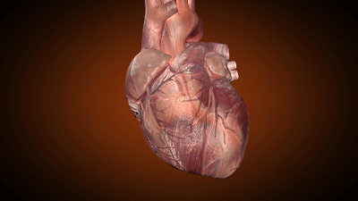 心梗後56%的患者心功能下降，3個行為正在拖垮心臟