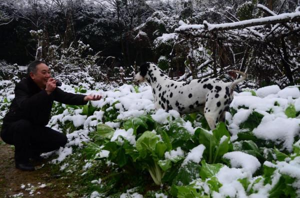 我作為一個非常愛狗的人,為什麼再也不養狗了 我作為一個非常愛狗的人,為什麼再也不養狗了