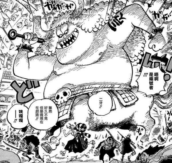 《海賊王》最新話 全面衝突走向高潮 陰影中的生存者讓人淚目