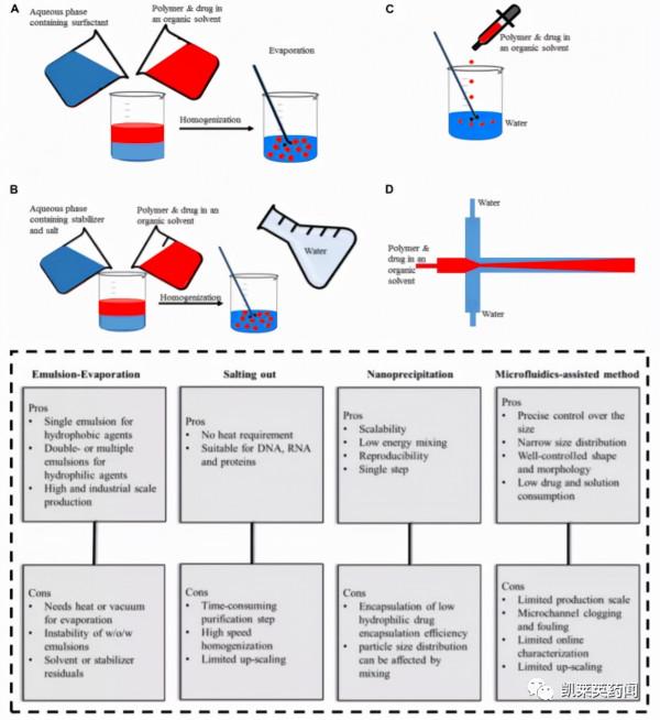 新藥巡禮：隱藏在冰山下的免疫疾病與創新奈米微球療法TAK-101