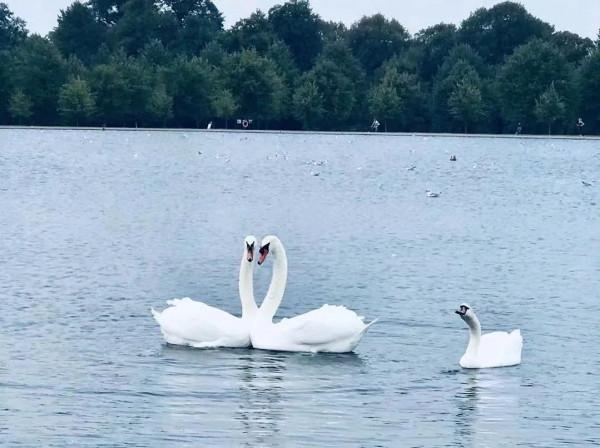 英倫遊歷散記D1-2 英倫遊歷散記D1-2