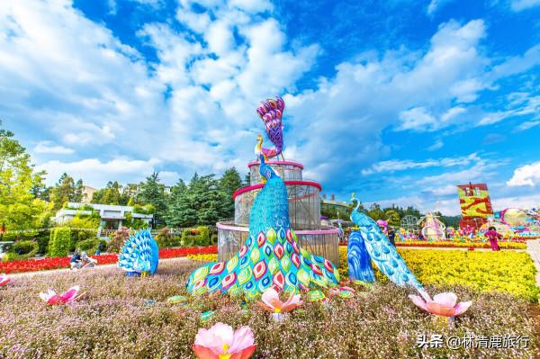 中國8座被世界認可的春城,養老就在其中選,你覺得哪個最好 中國8座被世界認可的春城,養老就在其中選,你覺得哪個最好