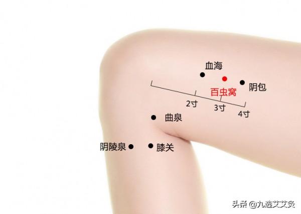 百蟲窩穴：祛風活血，驅蟲止癢