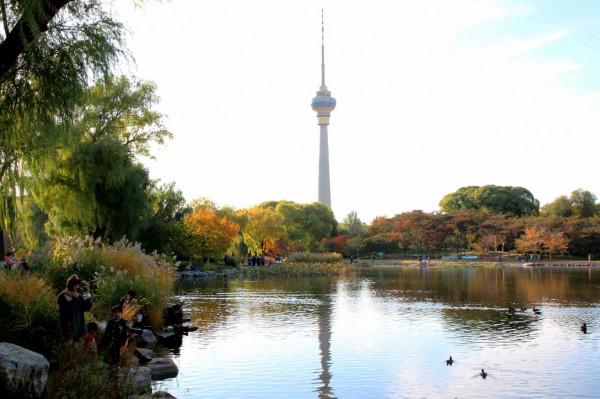 北京玉淵潭公園:深秋美景醉煞人 #秋日好時光##小生活,大財富# 北京玉淵潭公園:深秋美景醉煞人 #秋日好時光##小生活,大財富#