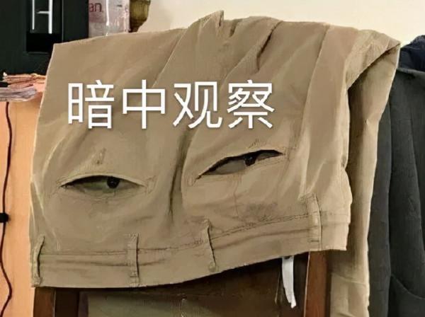 做了一個夢,我被樹給治了 做了一個夢,我被樹給治了