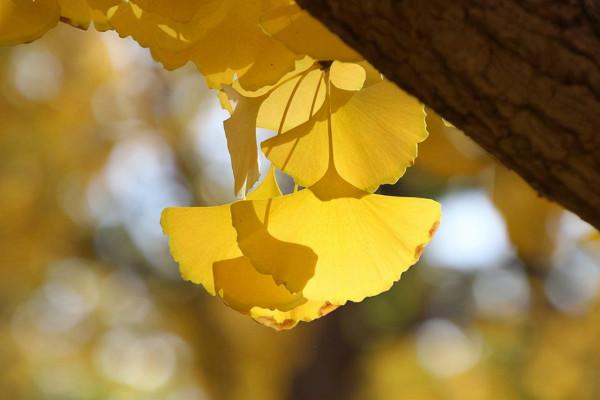 人到中年，需要一個知心人