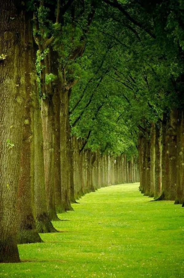 世界很大，風景很美，而你卻不是那個想走就走的人