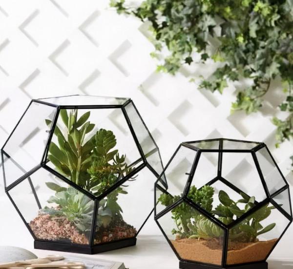 純乾貨 | 養花人必知的20條常識,收好了 純乾貨 | 養花人必知的20條常識,收好了