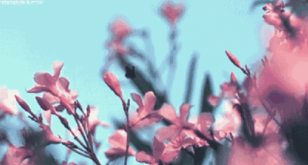 你的眼睛是一首美麗的詩