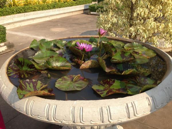 柬埔寨之旅（四）我所見的衣食住行（重點是禮物）