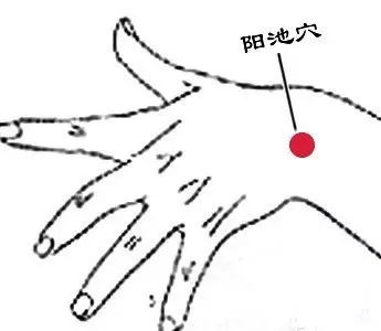 一杯養生茶 三個養生穴 遠離節後綜合徵