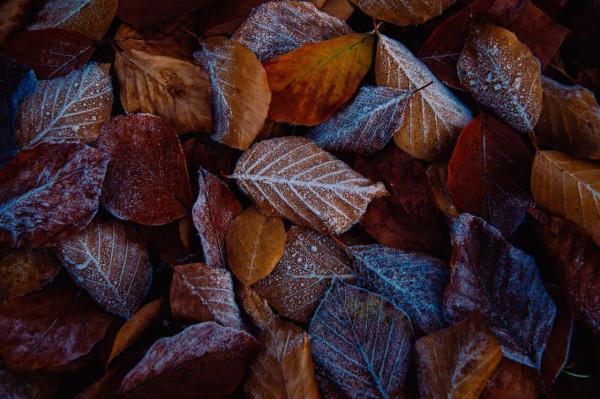 初中物理：公式換算大全，超級實用