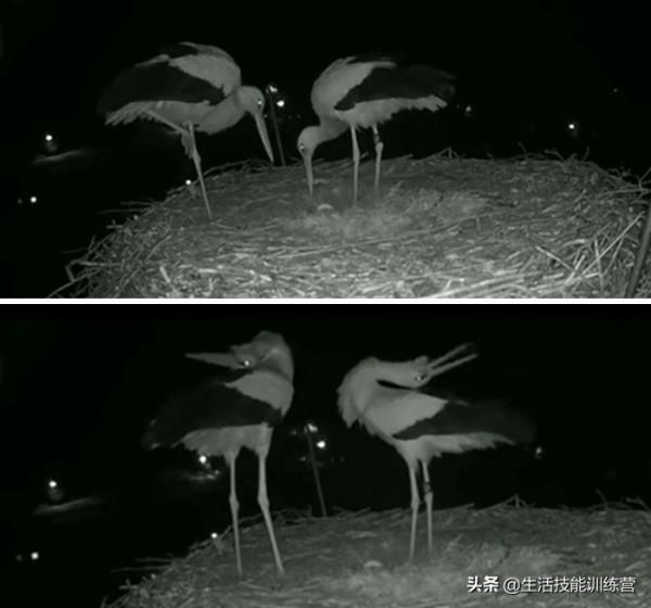 35張圖片帶我們領略大自然的狂野和美麗 35張圖片帶我們領略大自然的狂野和美麗