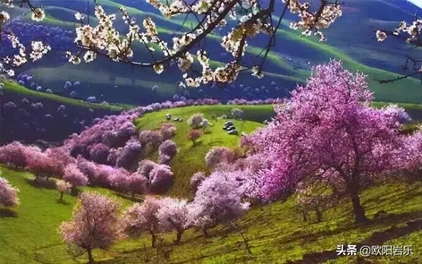 中國最美的20個旅行目的地,個個都美得極致,你去過幾個呢? 中國最美的20個旅行目的地,個個都美得極致,你去過幾個呢?