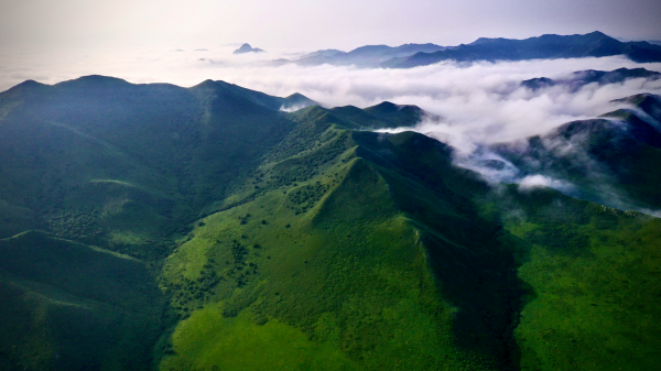 夢境草原的四大奇觀之霧海草原