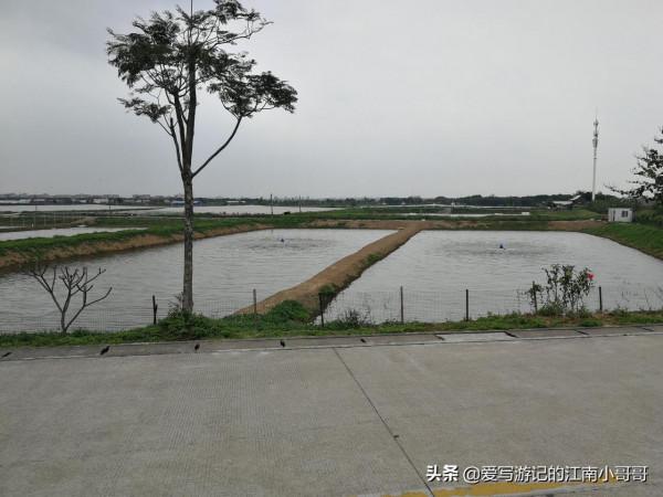 處在淡水水域的海鷗島，因外形輪廓相似而得名，其實並沒有海鷗