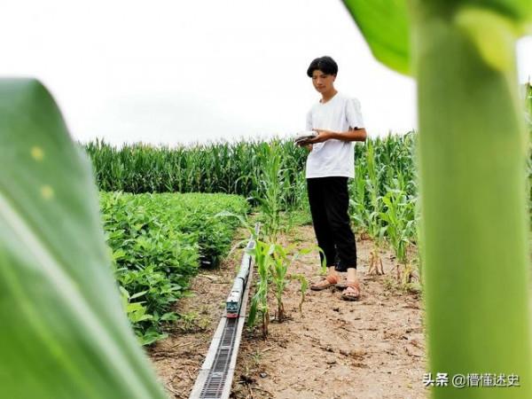 河南大學生在菜地建高鐵，穿隧道還能變軌，網友稱其“基建狂魔”
