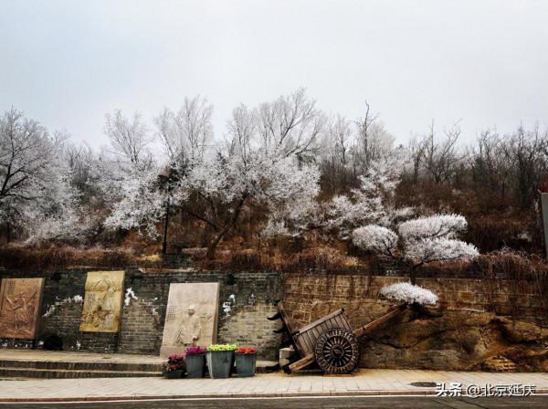 美若仙境！延慶八達嶺景區現絕美霧凇