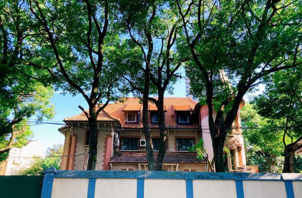 上海百年馬路，四大家族都曾在此居住，被稱為“申城第一情侶街”