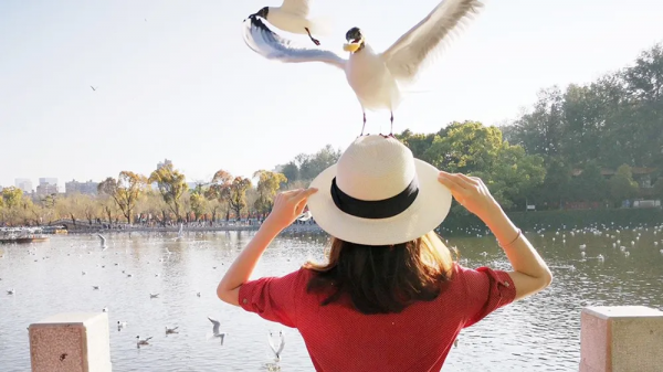 曾破吉尼斯世界紀錄！80萬畝花海齊綻放！這裡藏著國內最早的春天