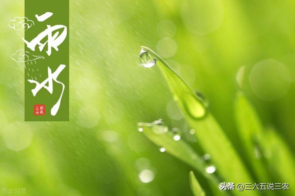 今日雨水，農諺&OpenCurlyDoubleQuote;澇不澇，就看雨水節&rdquo;，下雨晴天哪個好？咋說？