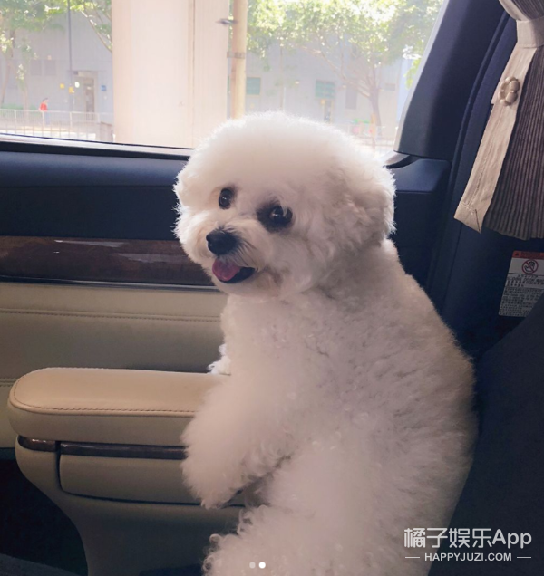 盤點哥哥的豪宅!趙文卓家客廳大到能滑板,陳小春家連鞋都有房間 盤點哥哥的豪宅!趙文卓家客廳大到能滑板,陳小春家連鞋都有房間