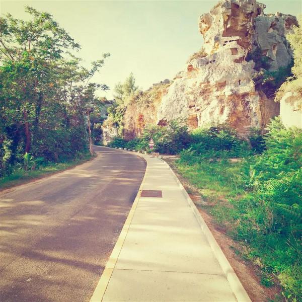 特別漂亮的路風景分享