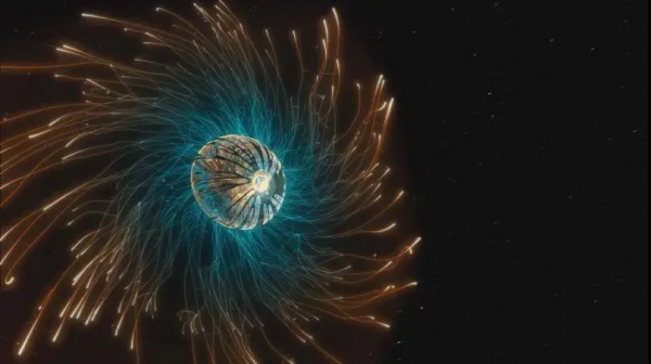 16部超讚自然紀錄片，讓孩子足不出戶看到地球的“真實面目”！