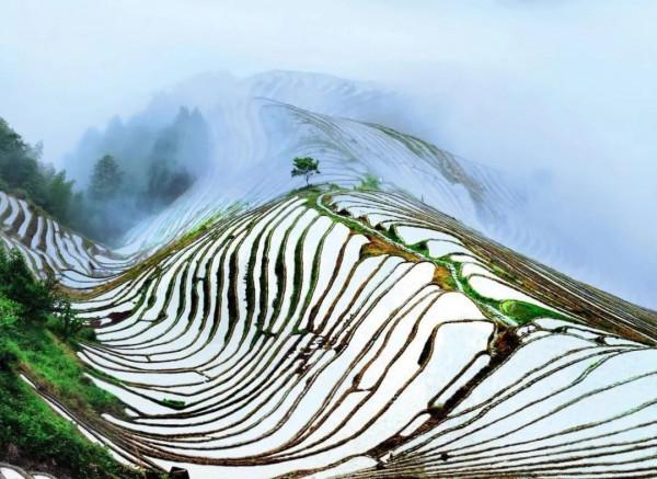 「廣西旅遊」廣西不僅有桂林山水甲天下，還有絕美的海岸線瀑布