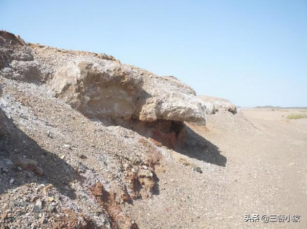 鹽要怎麼買?加碘、無碘、低鈉、粗鹽,箇中區別很大,看明白再買 鹽要怎麼買?加碘、無碘、低鈉、粗鹽,箇中區別很大,看明白再買