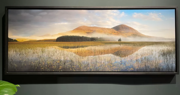 生機勃勃的地球：每一個生命都同等燦爛