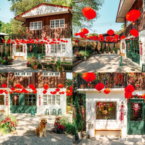 這個春節！泰國清邁6家咖啡館年味濃
