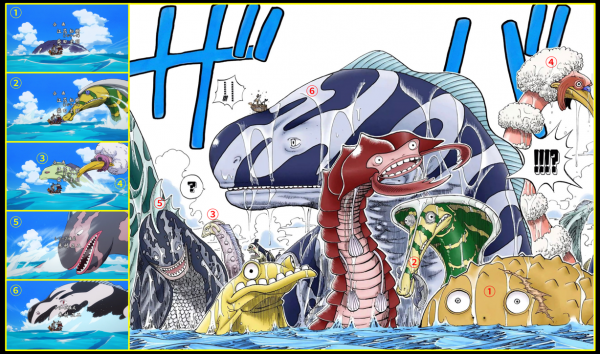 「流星電臺」海賊王動畫1000集精解帖 「流星電臺」海賊王動畫1000集精解帖