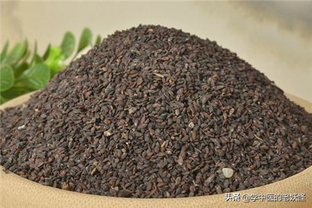 每日一中藥——車前子 每日一中藥——車前子