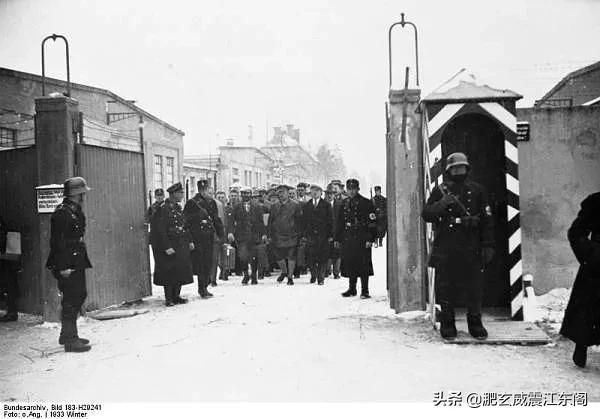 黨衛隊“希姆萊鋼盔”的今生前世,盤點那些不為人所知的細節 黨衛隊“希姆萊鋼盔”的今生前世,盤點那些不為人所知的細節