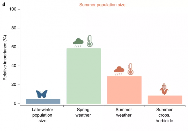 跨國遷徙的帝王蝶,能夠跨越氣候變化嗎? 跨國遷徙的帝王蝶,能夠跨越氣候變化嗎?