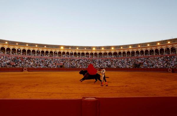 西班牙塞維利亞舉行新冠疫情以來首次鬥牛表演 西班牙塞維利亞舉行新冠疫情以來首次鬥牛表演