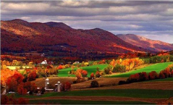 佛蒙特森林風光